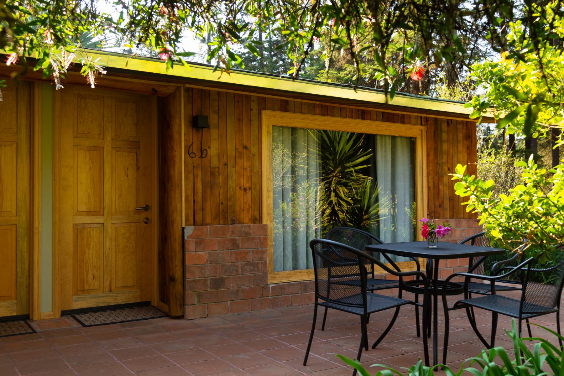 Cabañas de hospedaje en Rancho Viejo