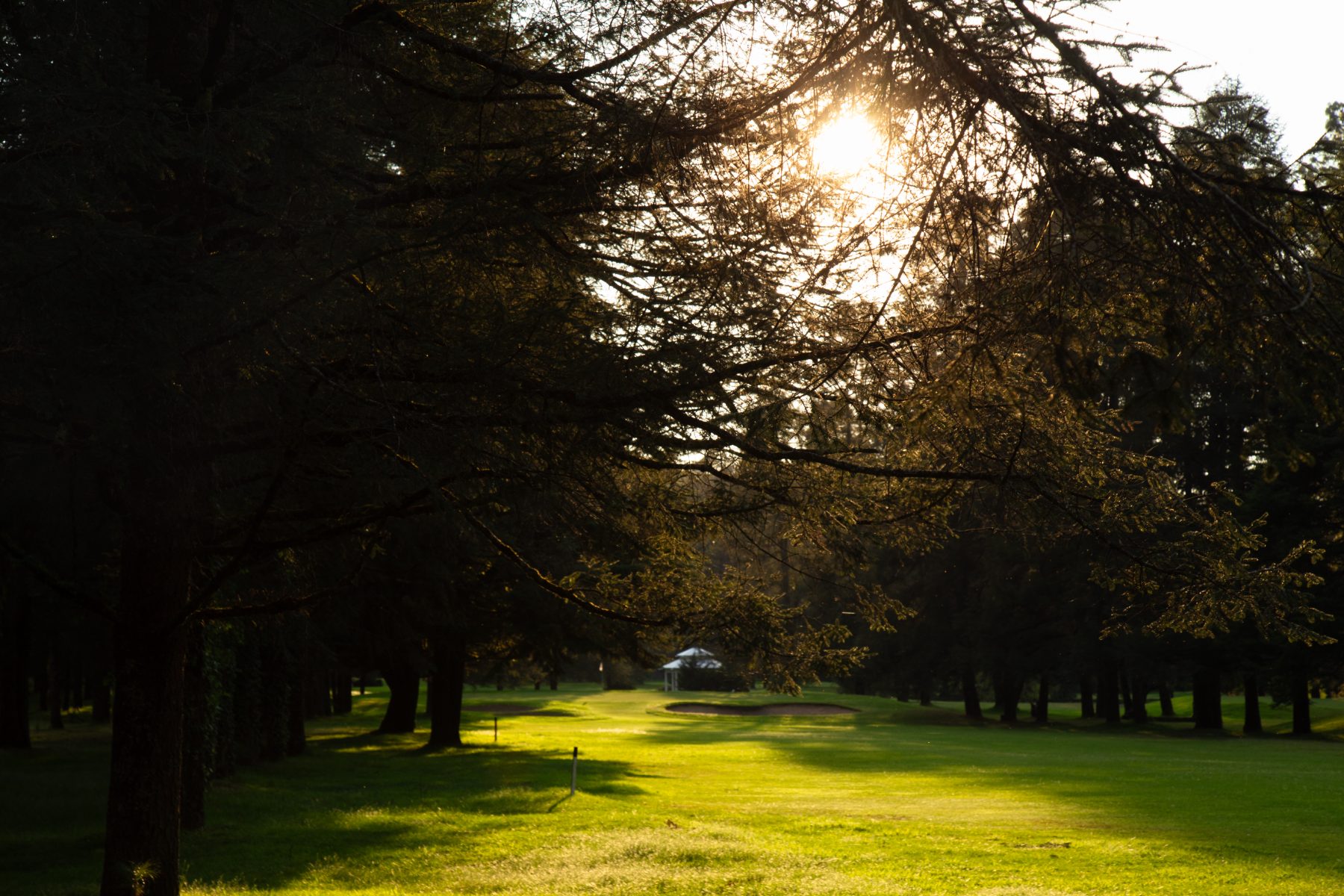 Campo de golf de Rancho Viejo al atardecer